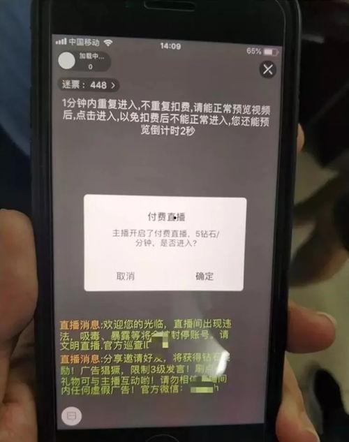 郴州女主播平台,魅力绽放的网络直播新天地