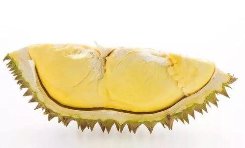 榴莲可爱图片,可爱瞬间定格